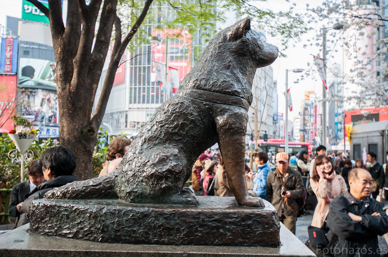 La estatua de Hachiko en Shibuya, el perro más famoso de Japón