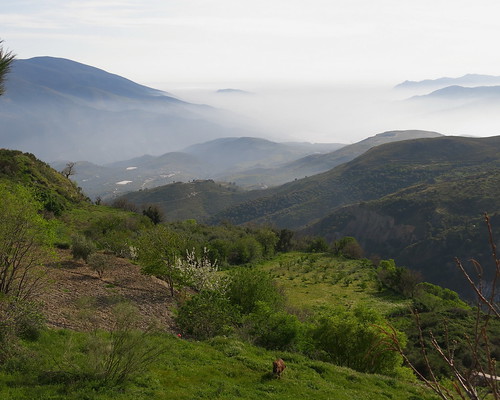 misty clouds landscape paisaje andalucia best explore nubes ok alpujarras brumas micheo
