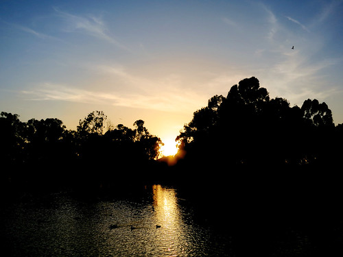 california sunset usa lake water silhouette placentia 2013 canonpowershots100