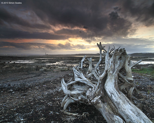 sunset station clouds coast scotland power fife driftwood coastal northsea weathered firthofforth longannet bythesea scottishpower leefilters crombiepoint canoneos5dmkii distagon2128ze distagont2821ze