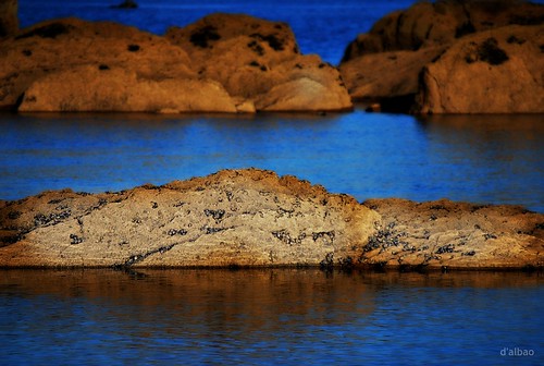 blue sea azul stone mar rocks galicia mussels vigo rocas mejillones piedra nikond60 dalbao francodalbao