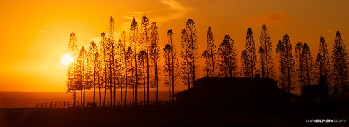 travel sunset vacation orange sun silhouette hawaii nikon hawaiian lanai d7000
