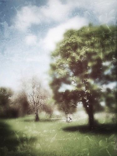 summer tree green nature landscape nem iphone mobilephotography iphoneography iph100 therecreationalground