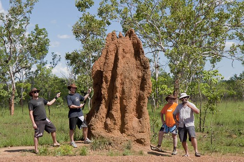 australia australie kakadanationalpark groupetermite termitière oz2k10