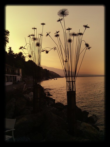 flowers sunset sea flower steel greece platamonas