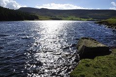 Greenfield Brook to Dovestone (121)