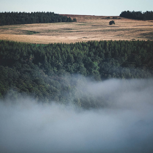 chrisdale chrismdale cloud dawn fog haze hudswell inversion landscape marske mist morning northyorkshire northyorkshiredales richmond sunrise swaledale trees yorkshiredales richmondshiredistrict england unitedkingdom