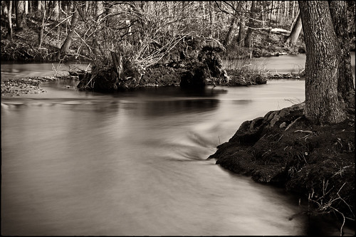 water newjersey spring nikon pinebarrens eggharborriver d700