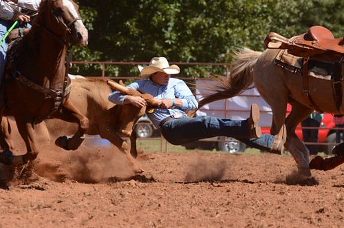 therockranch steerwrestling rodeo therockgeorgia cowboy horses steer dust cowboyhat cowboyboots dirt strawhat