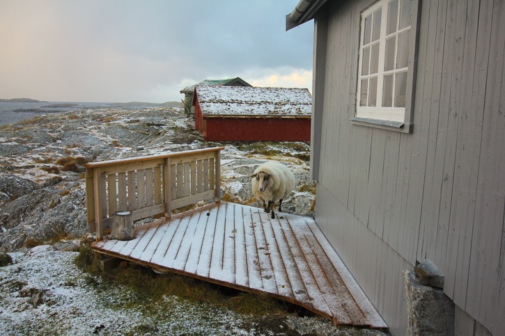Givaerin saari Pohjois-Norjassa I @SatuVW I Destination Unknown
