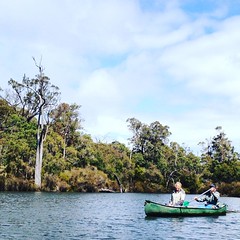 Canoeing on Margaret River - #WesternAustralia paradise. Did a day tour with Sean @discovermagaretriver which included a leisurely canoodle down river. So tranquil 😃 #justanothedayinWA #australia