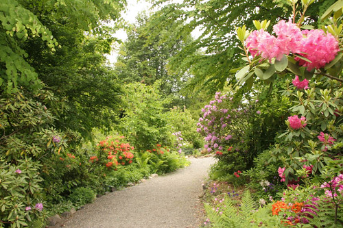 Highline SeaTac Botanical Garden
