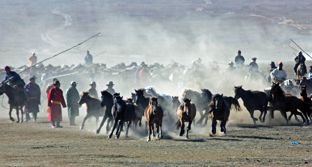 Mongolei: Das Glück der Erde liegt auf dem Rücken der Pferde - Mongolia: The greatest happiness on earth is sitting in the saddle of a horse