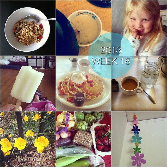 2013 in pictures: week 18