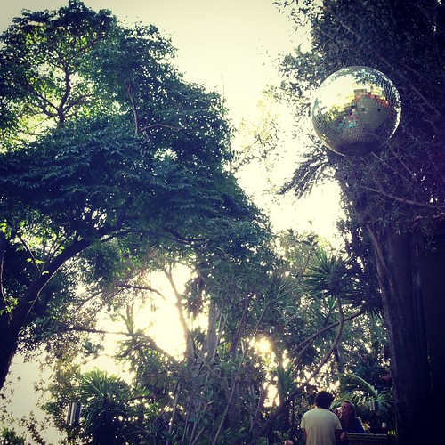 disco ball in the wild