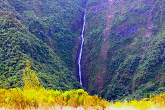 IMG_1316/Ile de la Réunion/Plaine des Palmistes/Cascade Biberon/Biberon Falls/Bottle Falls