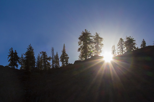 sierranationalforest backpacking camping sunrays sunburst sunlight sunrise trees
