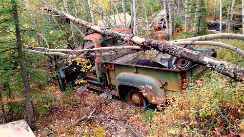 abandoned truck pickup junk trees ford