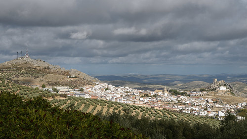 spain village andalucia plantation olives luque córdobaprovince