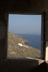 View from the lighthouse Image