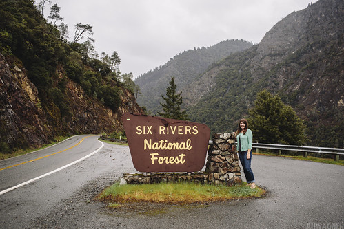 california ca trees portrait mountain mountains nature girl rain sign fog pine clouds forest 35mm canon landscape person eos woods pretty cloudy f14 foggy scenic overcast nationalforest rainy valley norcal westcoast sixrivers highway299 35l f14l sixriversnationalforest 5dmkiii 5dmk3 5d3 5dmarkiii 5dmark3