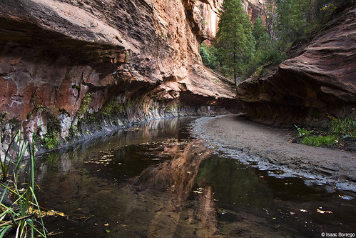 stream water creek canyon narrows sandstone westfork oakcreek sedona arizona canonrebelt4i reflections unitedstates america