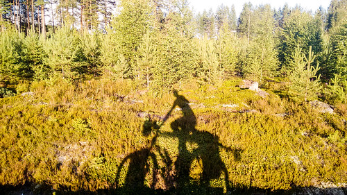 bicycle cycletouring cycling cyclotourisme europe freewheelycom jb shadow sweden jbcyclingnordkapp