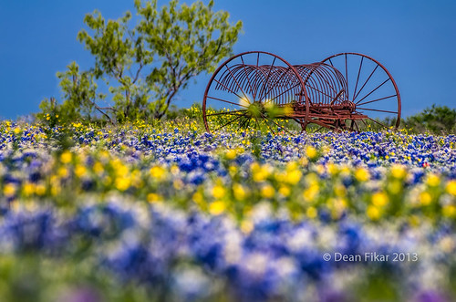 old flowers sky nature field grass metal rural vintage landscape outside outdoors day texas unitedstates antique farm background country farming rustic spokes wheels meadow rusty objects nobody structure equipment sunflowers wildflowers ennis bluebonnets axle