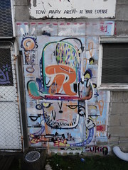 Graffiti à Taupo 15