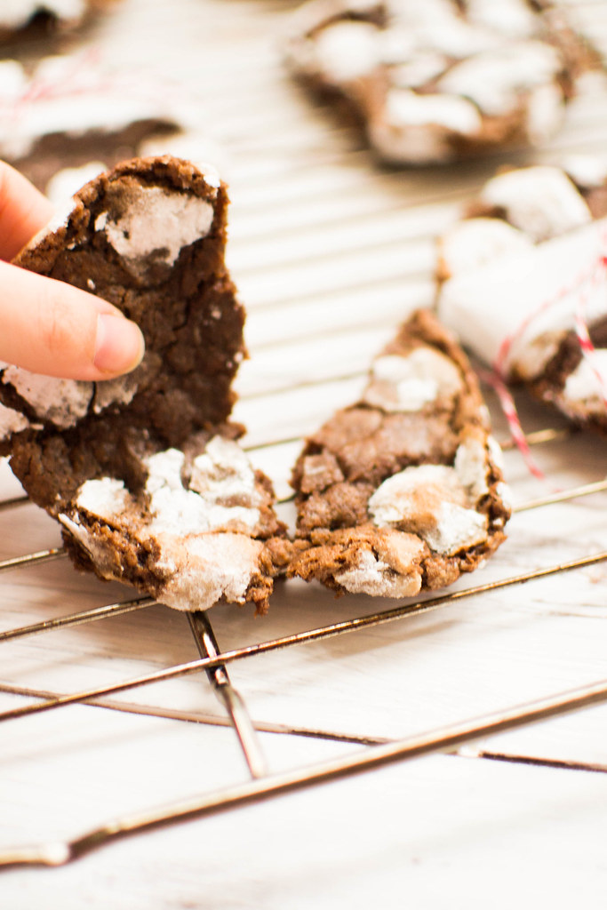 Snow Covered Chocolate Cookies