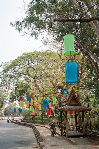 voyage street trip lanterne rue lampion thailande lampang worldtour tourdumonde