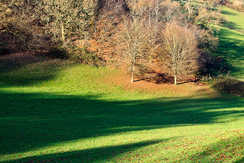 trees winter landscape december shadows farmland devon valley fields