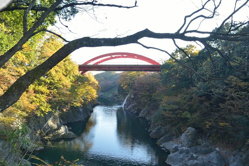bridge rock japan river maple gunma midori watarase omama nikond800e takatsudo