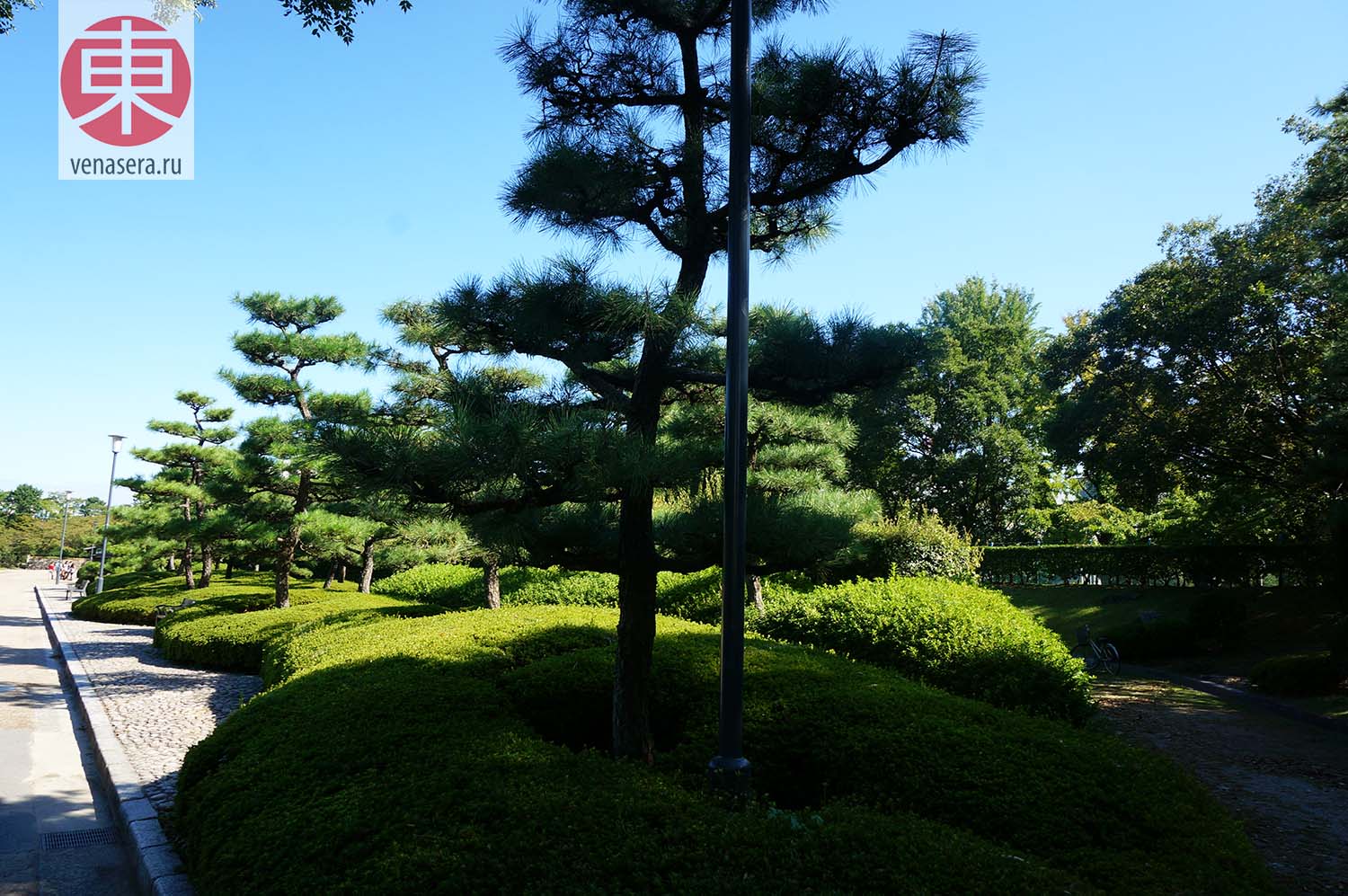 Замок Нагоя: сад
