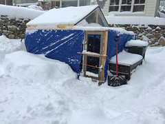 coop in snow  IMG_0041