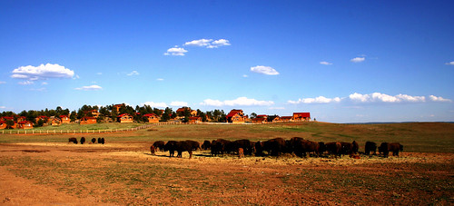 ranch homes mountain utah desert oasis zion coexistence herd middleofnowhere bisons