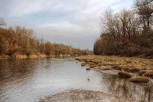 winter river germany bayern deutschland wasser gras isar landshut kies flus auwald