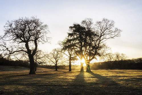 trees winter sun sunrise canon hall sigma 1750 28 warwickshire walton 40d