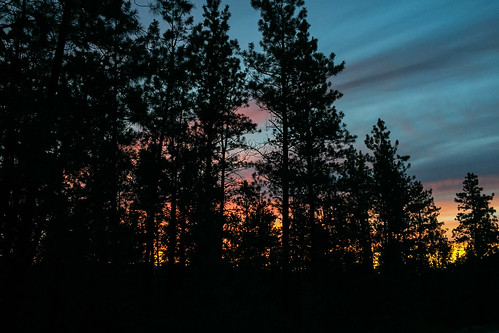 trees sunset canada silhouette britishcolumbia northamerica mckinneyroad okanagansimilkameen