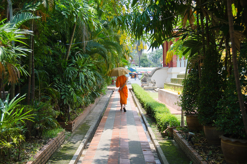 Monk in a pathway