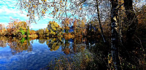automne eau lac rhône reflets paysages