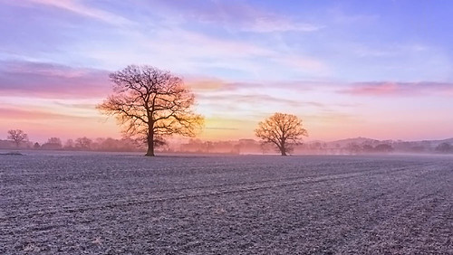 morning trees winter light sunrise landscape dawn frost sony warwickshire alcester a6000 jactoll