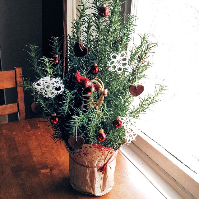 Since we're spending the holidays out of town this year, this is our "tree". It's rosemary, and I kind of love it.