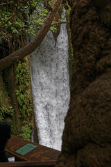 Rundweg zum Banias-Wasserfall