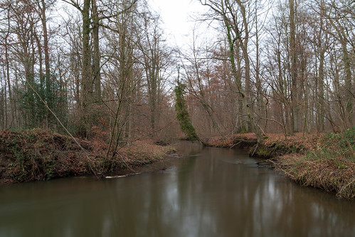 winter creek forrest natur meander wald buche mäander langzeitbelichtung longtimeexposure laubwald naturfotografie flus herrschaft uetze