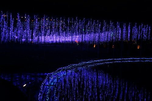 Flower Fantasy 2015 illumination at Ashikaga Flower Park 34