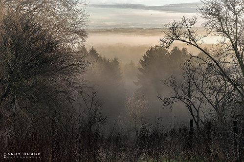 england mist color colour clouds fence woodland landscape unitedkingdom branches sony mysterious scrub oxfordshire slope wallingford conifers wittenhamclumps southoxfordshire a99 sonyalpha andyhough earthtrust slta99v littlewittenhamwood andyhoughphotography