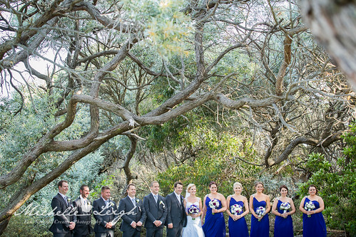 Smile for the camera bridal party!.