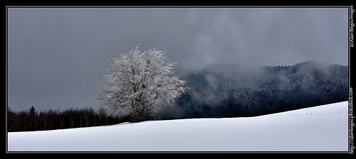 winter snow hiver alsace neige paysage vosges grandballon alainbegou