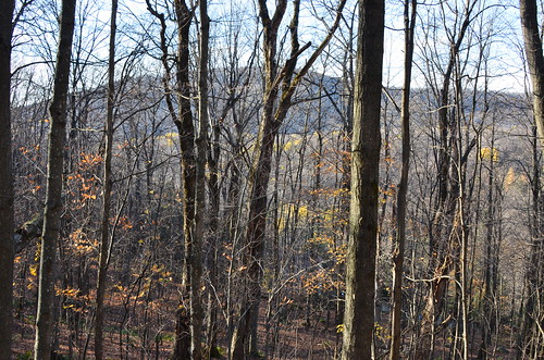mountain canada tree nature montagne quebec mount paysage arbre mont touristique montshefford parcdesmontagnards